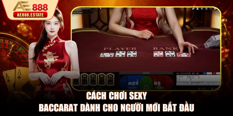 Cách chơi Sexy Baccarat dành cho người mới bắt đầu 