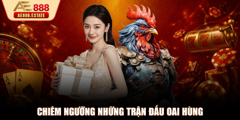 Chiêm ngưỡng những trận đấu oai hùng