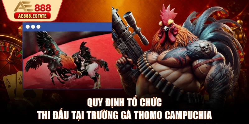 Quy định tổ chức thi đấu tại trường gà Thomo Campuchia
