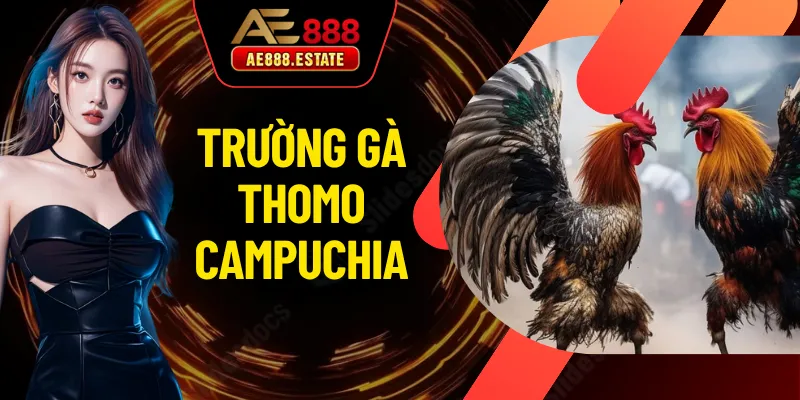 Trường Gà Thomo Campuchia